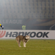Photo credit: Boris Grdanoski/AP